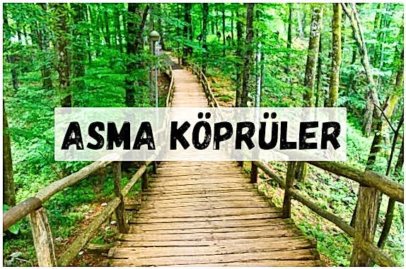 ASMA KÖPRÜLER