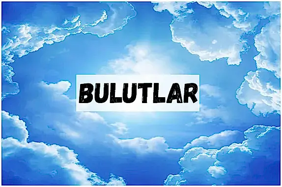 BULUT