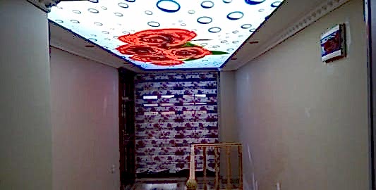 Gergi tavan (195) Gergi tavan (195)